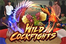 Wild Cockfight